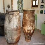 images/Oplevelser/Oliventrae Vouves/Olivetree-i-Vouves-09.jpg
